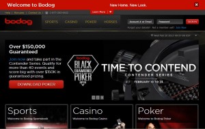 new-bodog