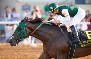 Balt D' Oro horse - Kentucky Derby Odds