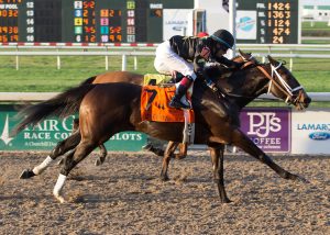 2018 Preakness Stakes underdog pick