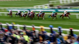 betting at the track