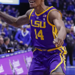 fla vs lsu free pick march 6, 2019