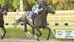 Tacitus Horse Breeders Cup Odds