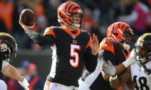 Begals odds before and after dalton announced as starter