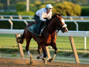 Kentucky Derby Odds 2020