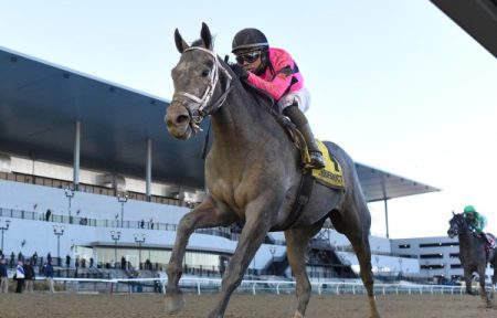 Belmont Stakes Odds